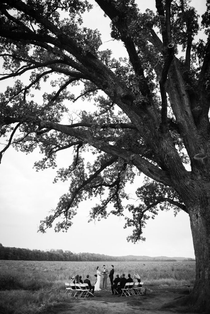 couple getting married under the Big Tree McBain, MO