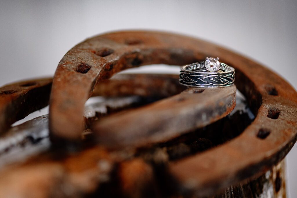 weddings rings on horseshoes
