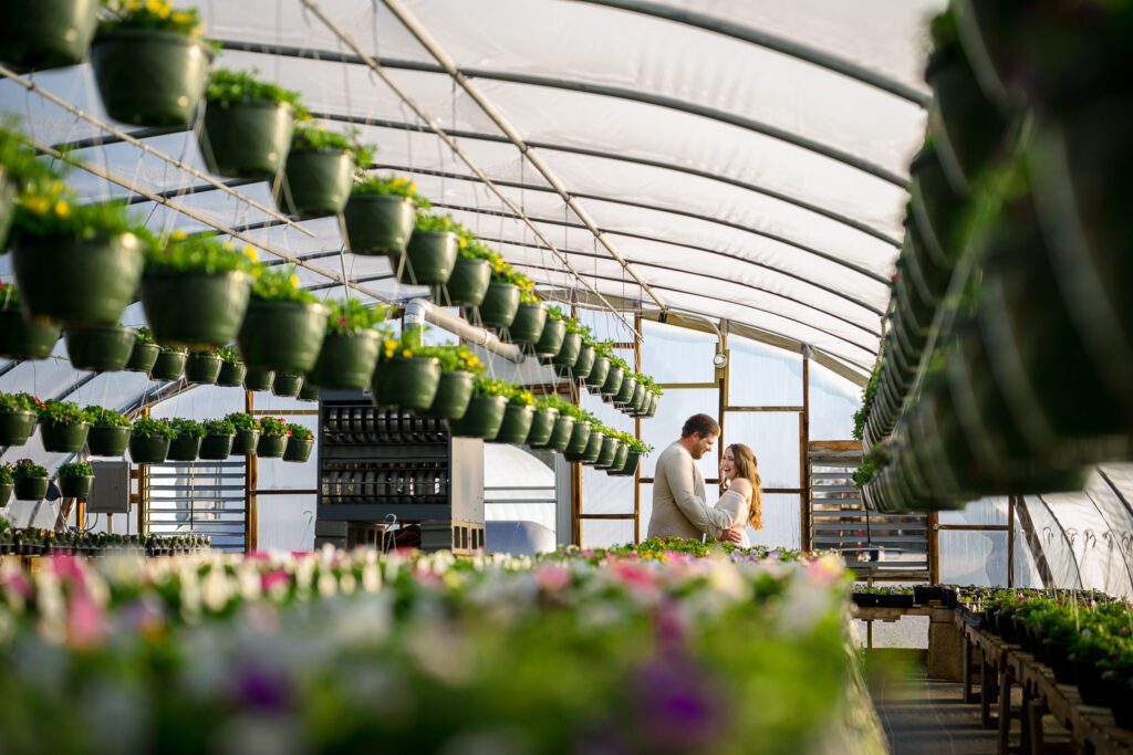 engaged couple together in green house