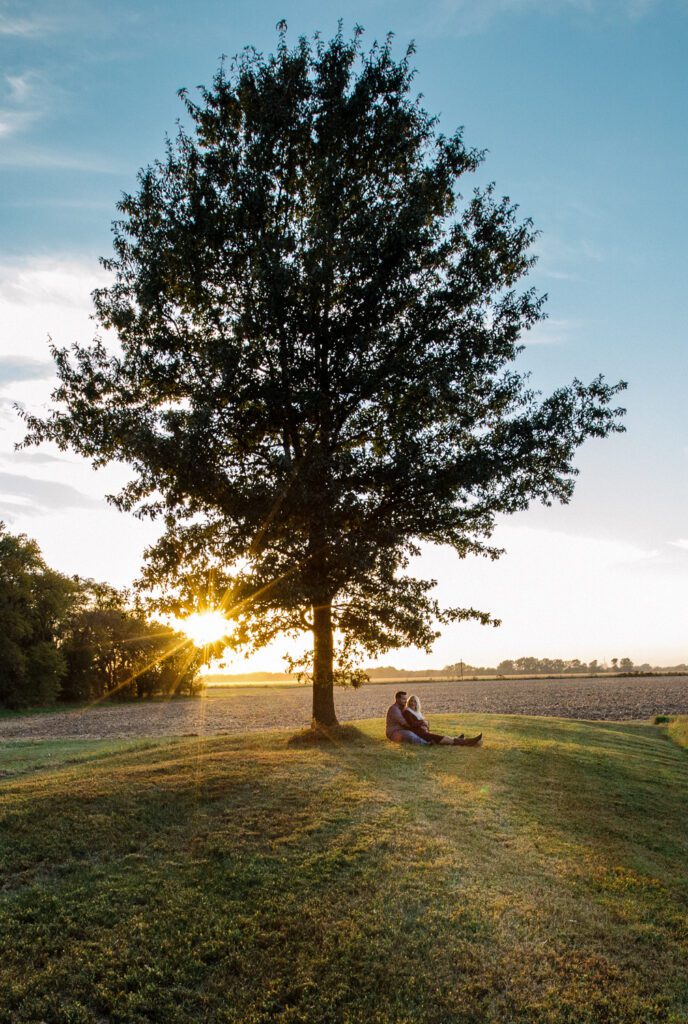 couple sitting under tree at sunset