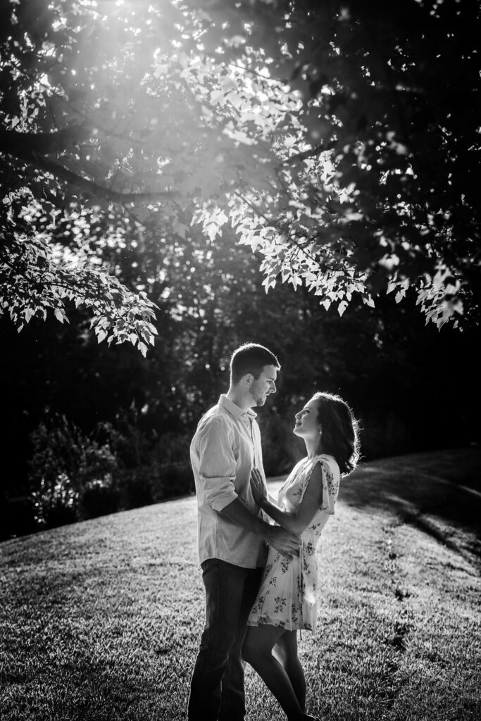 couple gazing at each other under sunset tree