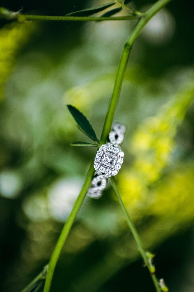 engagement ring on flower stem