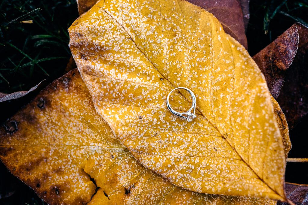 engagement ring in frost on leaves