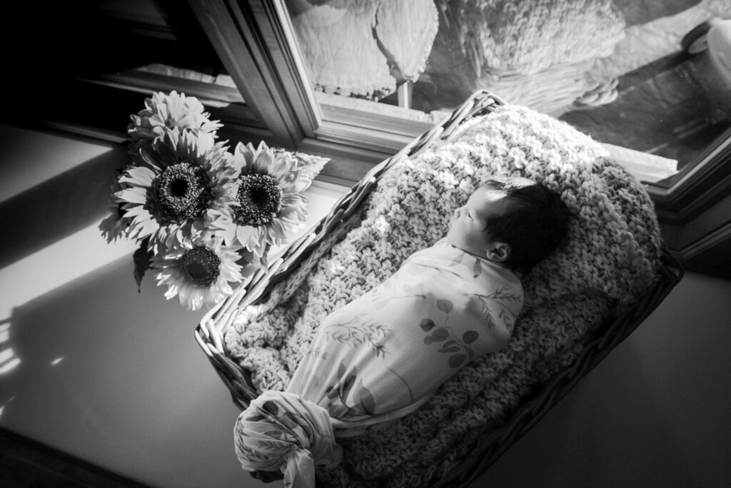 newborn on blanket in window by sunflowers