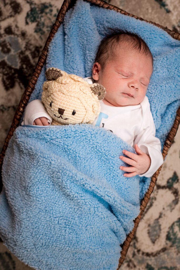 newborn holding stuffed animal under blue blanket in a basket in Columbia, MO