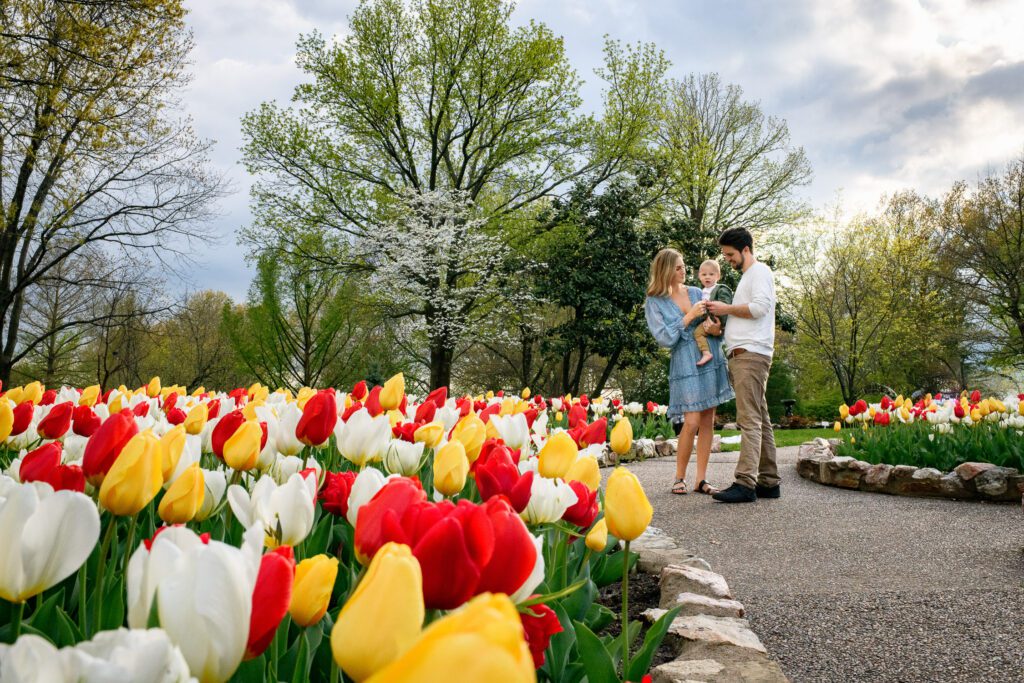 family stands on sidewalk by red and yellow tulips