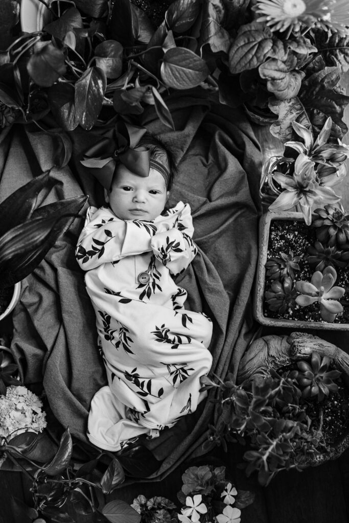 newborn girl lays surrounded by potted plants
