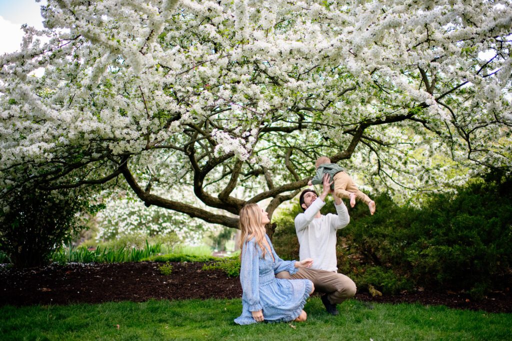 Family plays together under a tree full of blossoms