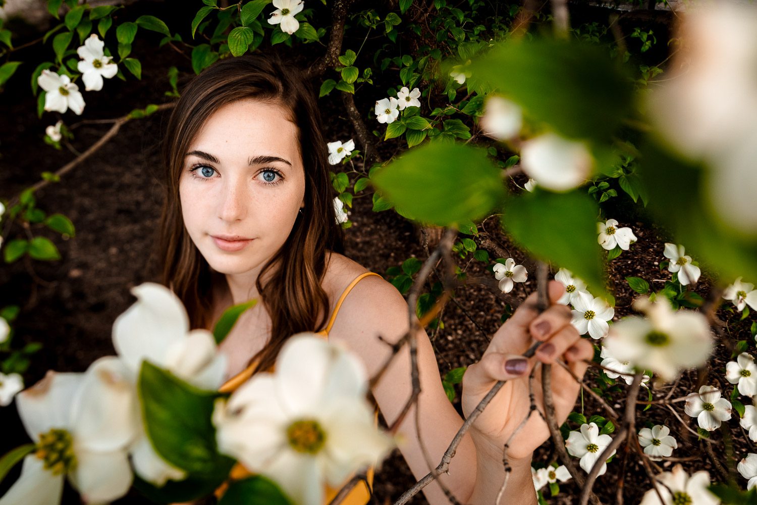 Columbia Missouri Senior Portraits, Columbia Missouri Senior Photographer, Schaefer Photography, Mid Missouri Senior Photographer, Missouri Senior Portraits, Senior Girl Photography, Scott Schaefer Photography, University of Missouri, Mizzou Columns, Jesse Hall Photo, The Columns, Missouri Dogwood Tree