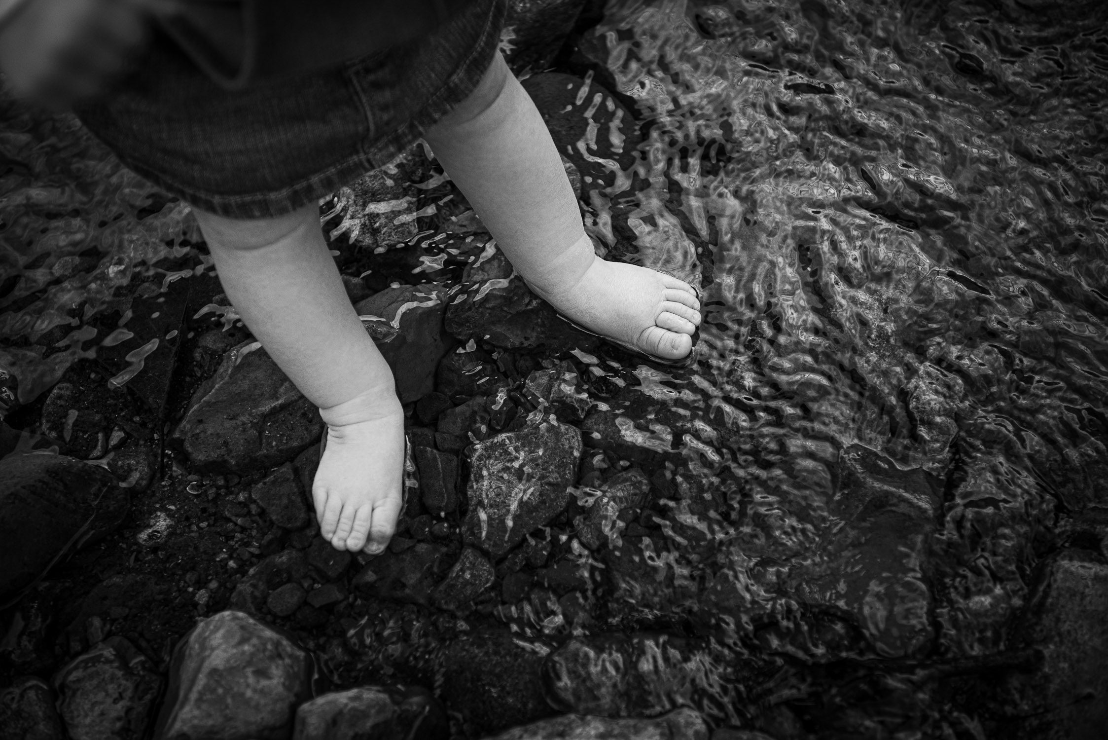 Child's toes in creek water Kasmann Family Photos by Schaefer Photography in Capen Park, Columbia, Missouri.