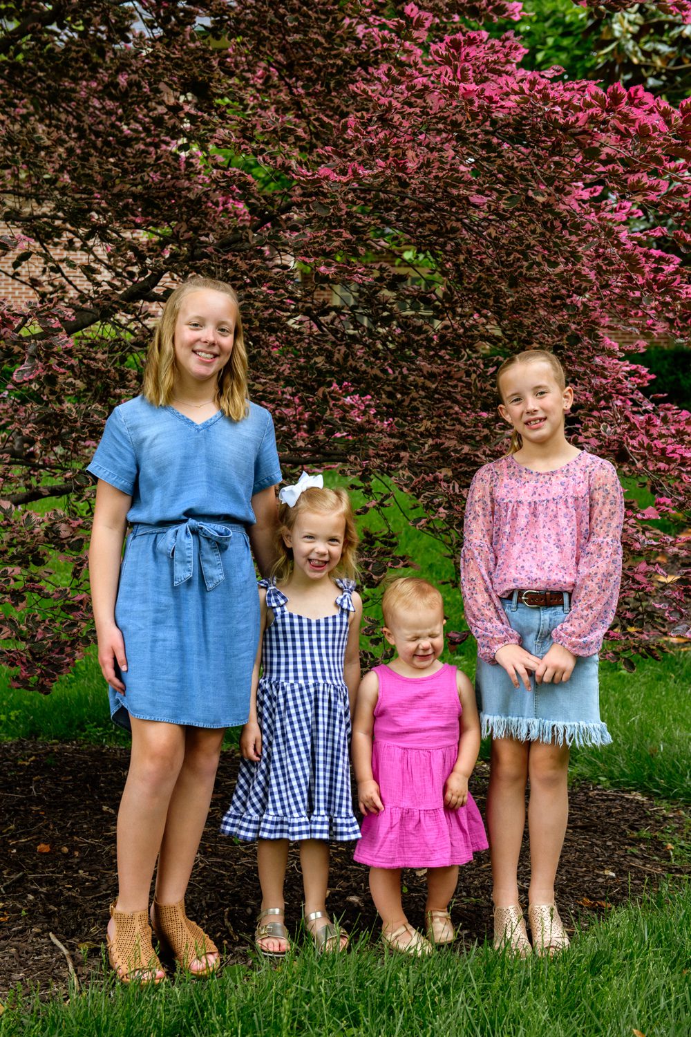 Four sisters of different heights stand in front of a tri colored beech tree on the Mizzou Campus.