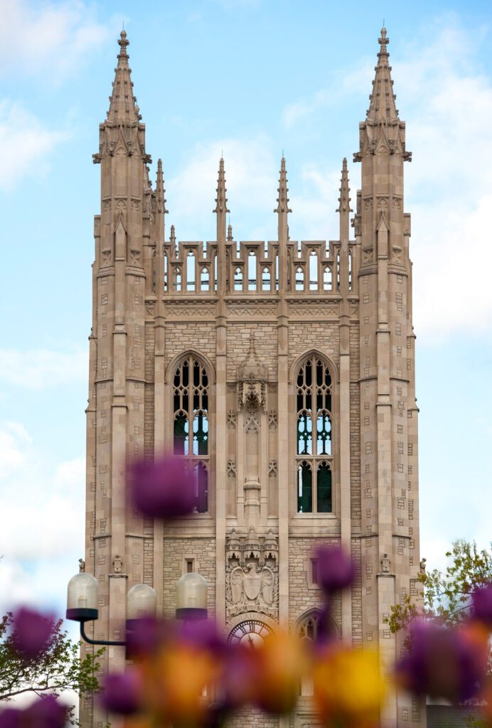 Memorial Union Tower and purple and yellow tulips blooming.