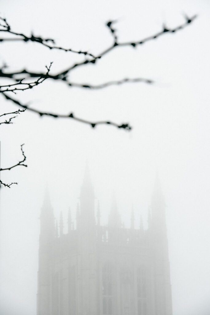 Memorial Union Tower behind fog and tree branches.