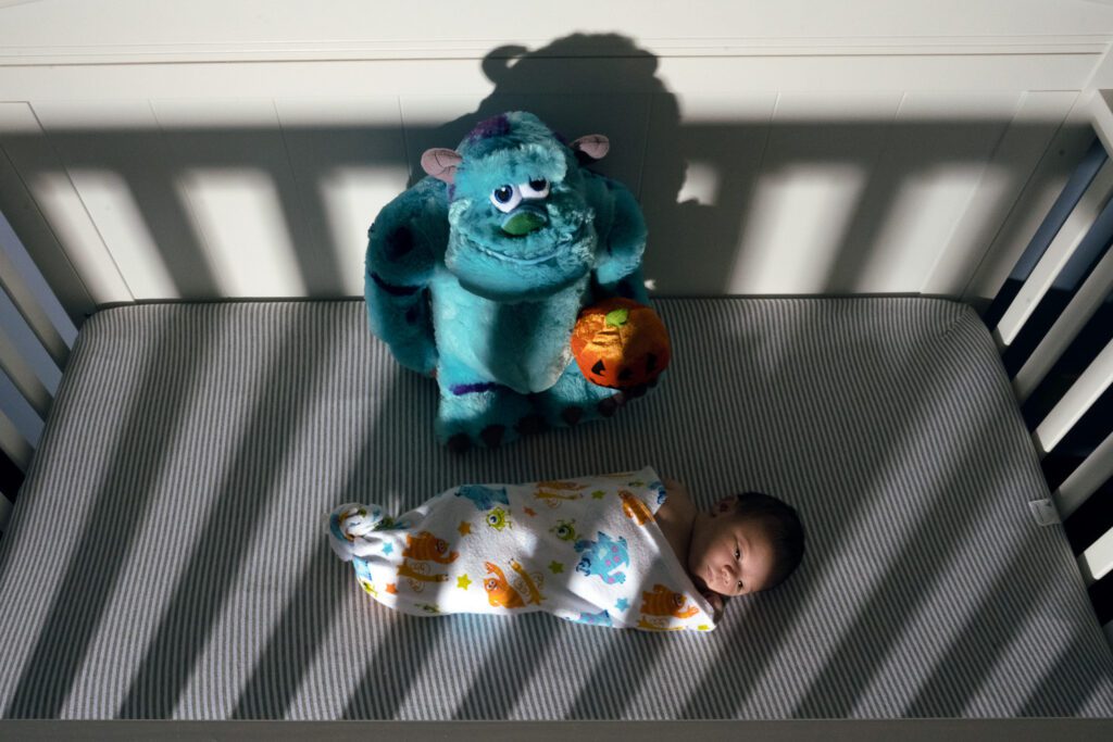 Newborn baby wrapped in Monster's INC blanket with Sully the monster stuffed animal.