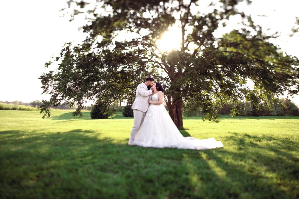 Bride and Groom kiss under big tree with sunlight