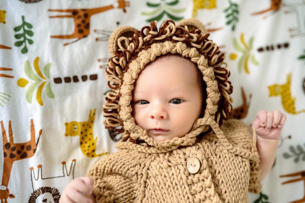 newborn baby wearing lion suit