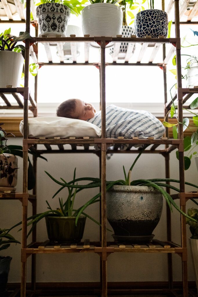 newborn baby wrapped and laying by plants