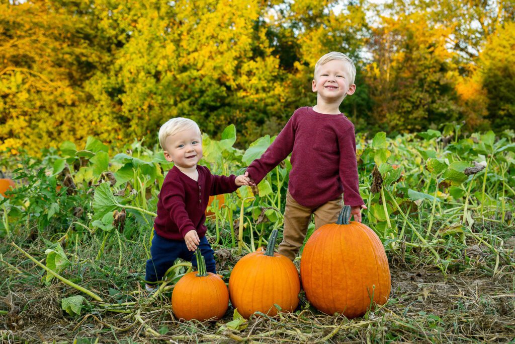Young boys stand behind three pumpkins to announce they are having another baby born into the family